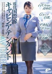 DVMM-245 English Subtitle